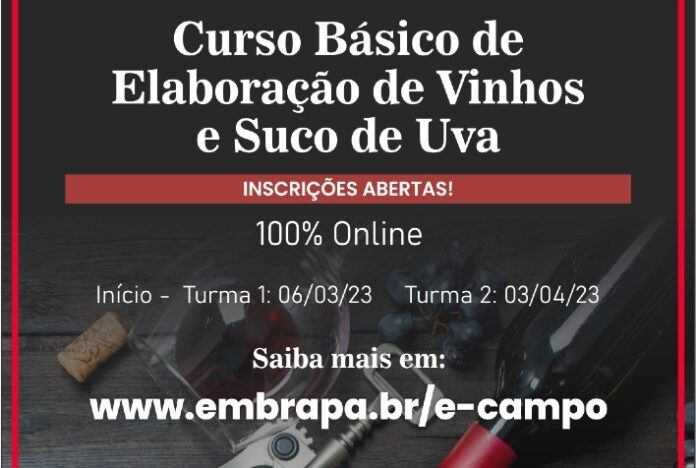 Embrapa lança nova edição do curso online de Elaboração de vinhos e suco de uva