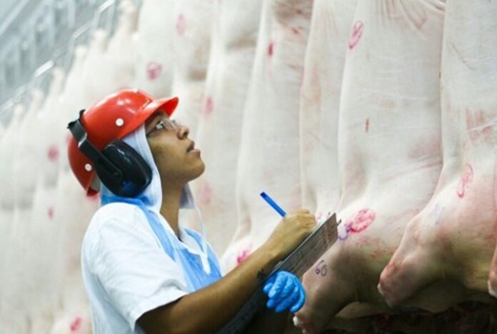 Faturamento e volume médio da carne suína exportada na 3ª semana de fevereiro são maiores que no mês de 2022