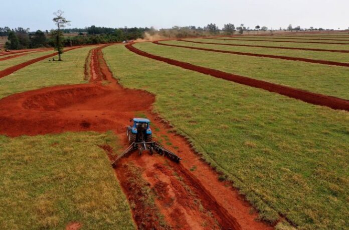 Governo defende ampliação nas linhas de crédito para investimentos no setor rural