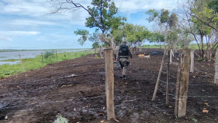 PMA de Corumbá interdita construções de mangueiro e embarcadouro de gado às margens do rio Paraguai no Pantanal e autua infrator em R$ 5 mil durante