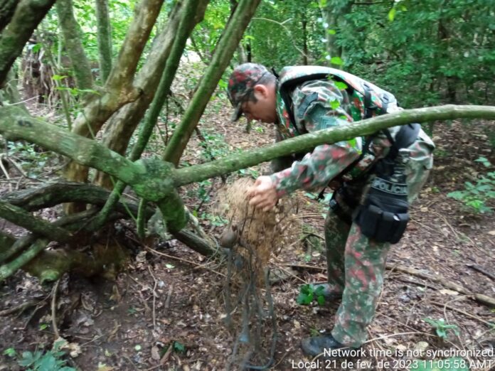 PMA de Jardim retira e apreende redes de pesca e anzóis de galho do rio Miranda e, apesar do rio cheio, pescadores insistem em armar este material proibido com alto poder de degradação