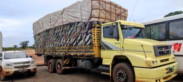 Polícia Militar Ambiental de Bataguassu apreende caminhão com 54 m³ de carvão transportados ilegalmente e autua dono da carga em R$ 16,2 mil