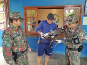 Polícia Militar Ambiental de Bonito resgata lagarto teiú de dentro de piche asfáltico em estado grave em rodovia