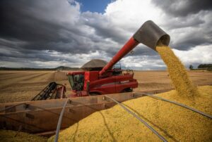 Produtores colhem 25% da área plantada de soja, diz AgRural