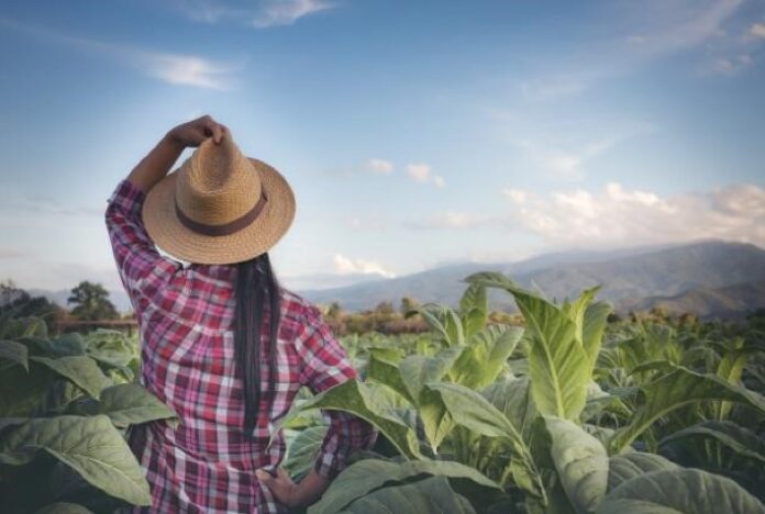 Adecoagro cresceu em 37% a participação das mulheres nos últimos cinco anos