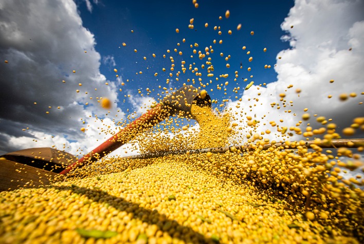 Colheita de soja chega a 88% em Mato Grosso e projeção de produtividade aumenta