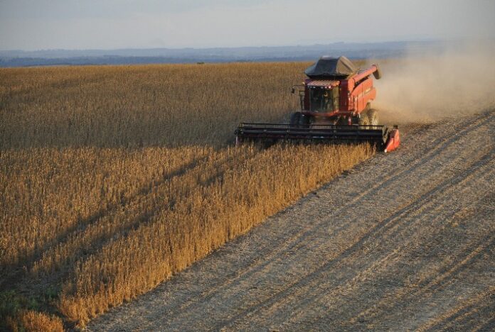 Colheita de soja do Rio Grande do Sul atinge 4% da área; milho vai a 74%, diz Emater