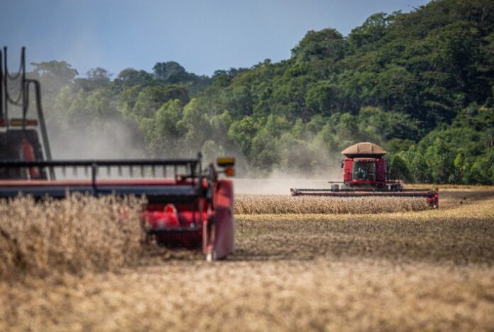 Colheita de soja vai a 62%, mas chuva volta a segurar ritmo, diz AgRural