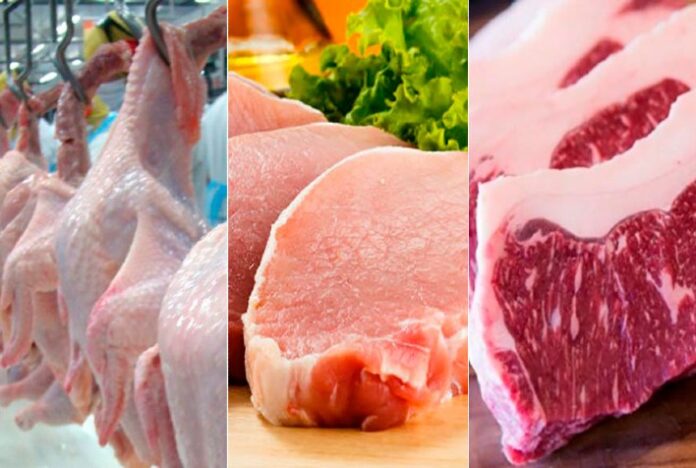 Desempenho exportador das carnes in natura em fevereiro de 2023