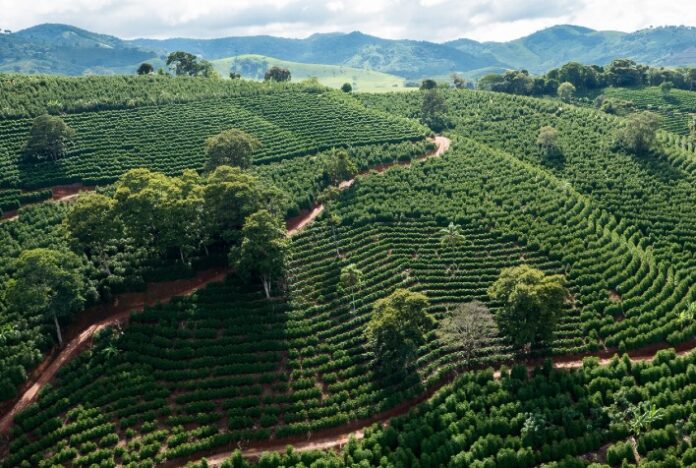 Exportações do agro mineiro alcançam US$ 1,8 bilhão no primeiro bimestre do ano