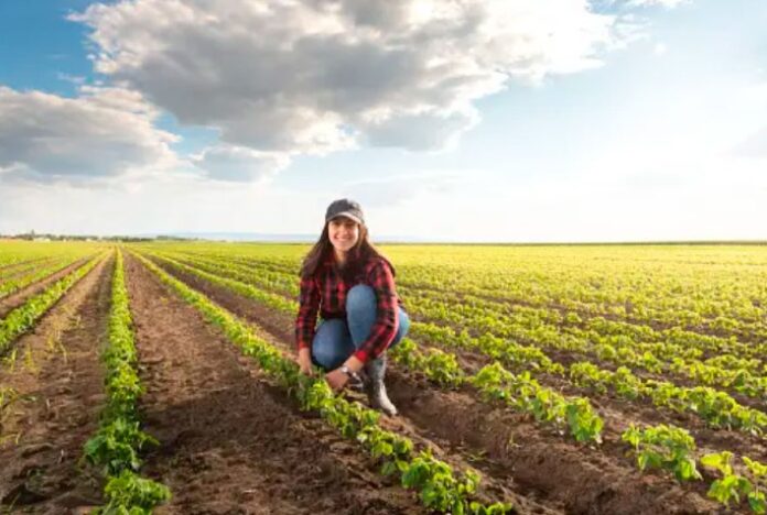 MERCADO DE TRABALHO: Com conjuntura favorável, população ocupada no agro é a maior desde 2015