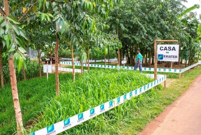 Pelo 20º ano, Emater leva tecnologia e informações agropecuárias à Tecnoshow Comigo