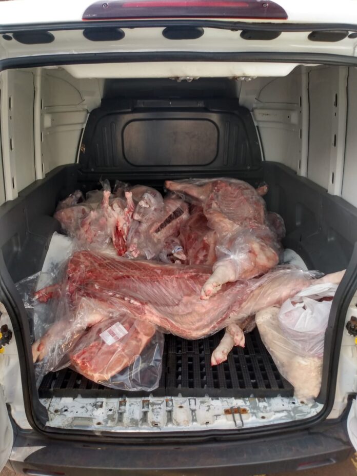 Polícia Civil apreende carnes suínas e ovinas que estavam sendo expostas à venda em desacordo com a legislação