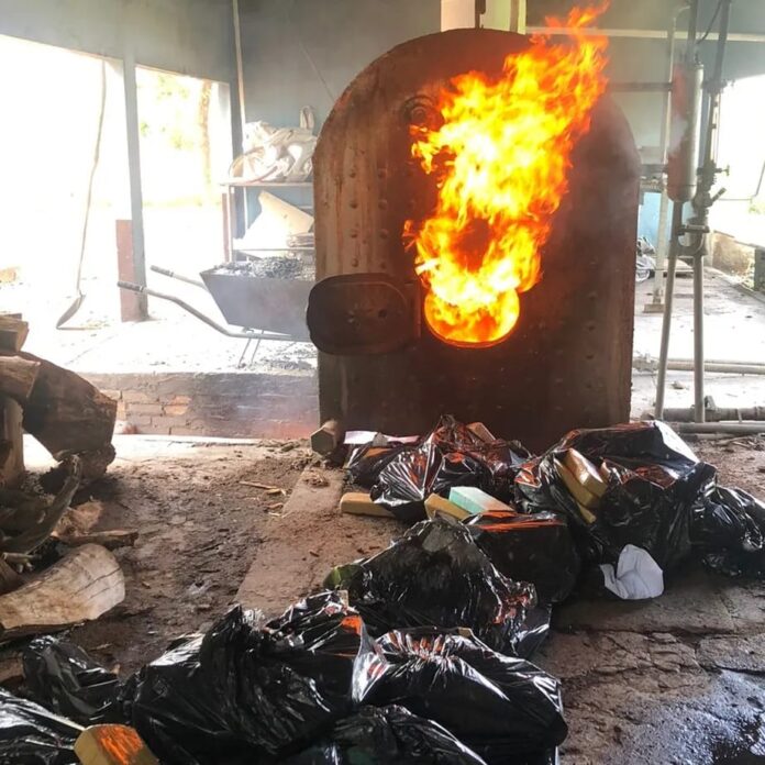 Polícia Civil incinera 250 kg de drogas em Rio Negro