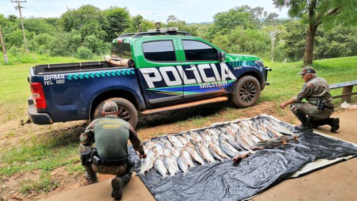 Polícia Militar Ambiental autua 13 pescadores em R$ 14 mil e apreende 330 kg de pescado e 19 redes de pesca na operação Pesca Aberta