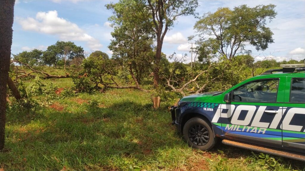 Polícia Militar Ambiental de Batayporã autua infrator em R$ 5 mil por derrubada de árvores ilegalmente para exploração de madeira em área pastagem