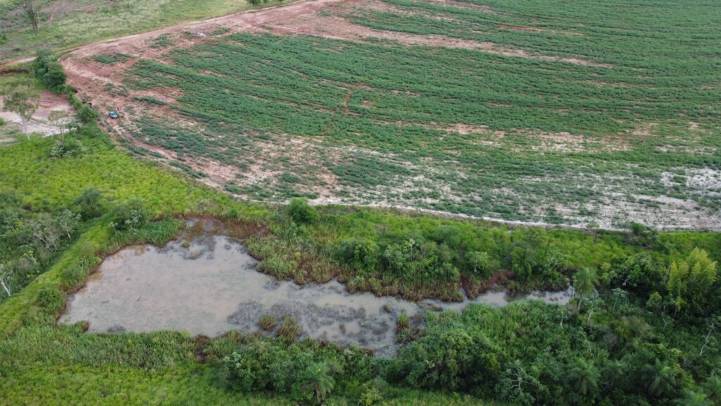 Polícia Militar Ambiental de Mundo Novo autua dono de sítio em R$ 15 mil por degradação de área de nascentes para plantio de lavoura