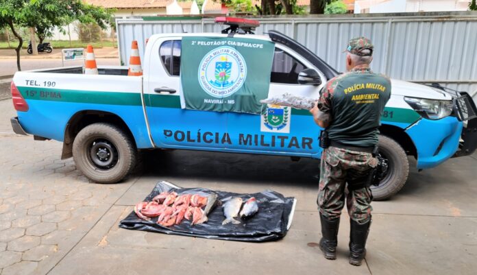 Polícia Militar Ambiental de Naviraí autua dois infratores em R$ 2,8 mil por transporte ilegal de 74 kg de peixes