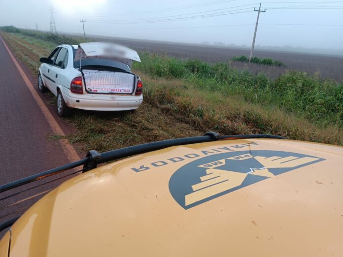 Polícia Militar Rodoviária apreende carga de cigarro contrabandeado em Vista Alegre