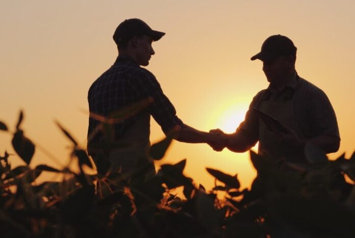 Pontos que o produtor rural deve estar atento ao firmar um contrato de arrendamento