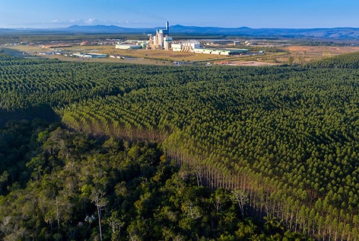 Veracel removeu mais de 1,6 milhão de toneladas de gases de efeito estufa da atmosfera com seus plantios de eucalipto e restauração florestal