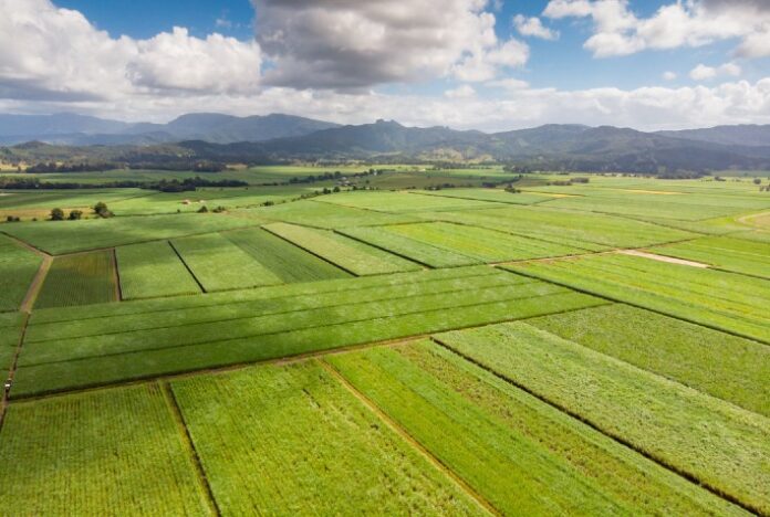 ATR Paraná: valor de março fechou em R$ 1,1087/kg