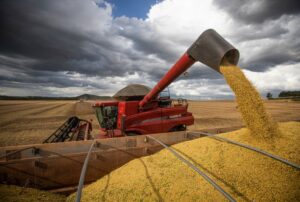 Brasil tem produtividade recorde na soja apesar de seca no RS e recuo em fertilizante