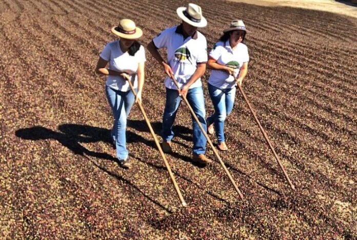 Coocaminas exporta para Europa com apoio do Agro.BR