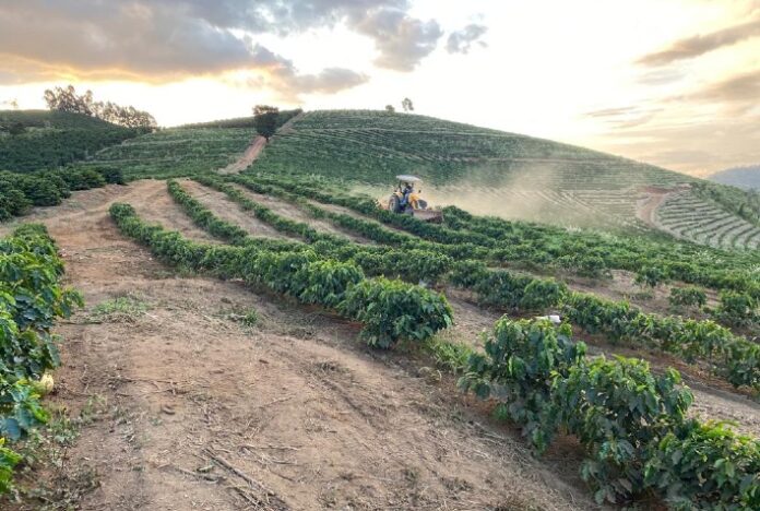 Dia de Campo sobre cafeicultura de montanha em Santa Margarida neste sábado