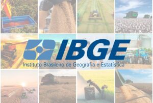 Em março, IBGE prevê safra de 299,7 milhões de toneladas para 2023