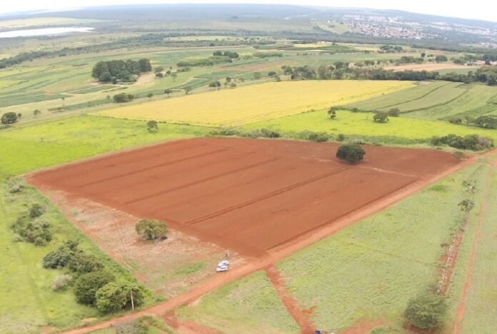 Em parceria com empresa israelense, Embrapa Cerrados inaugura área experimental com gotejamento subterrâneo para culturas de grãos