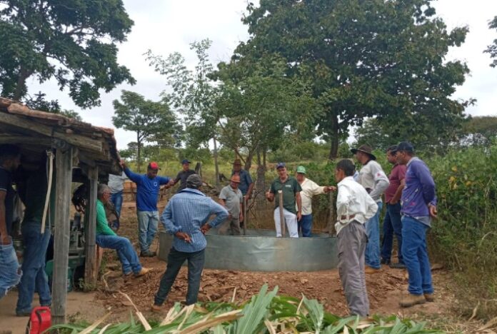 Emater-MG orienta produtores do Norte de Minas sobre alimentação do gado na época da seca