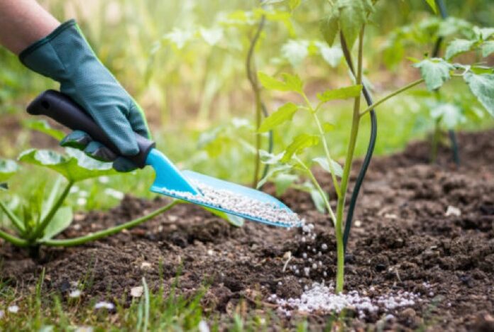 Entregas de fertilizantes diminuíram, mas supriram o agronegócio em 2022