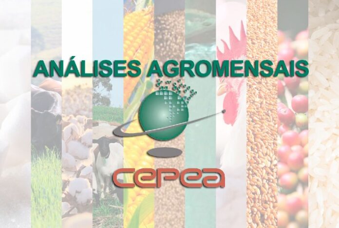 Estão disponíveis as agromensais de MARÇO/2023 do Cepea