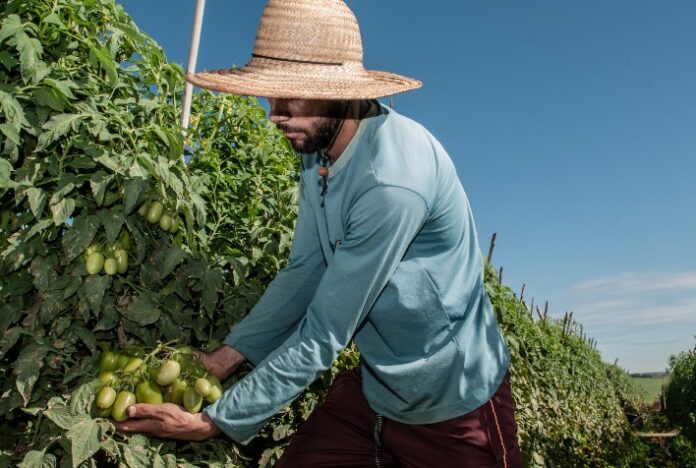 Goiás é o maior gerador de empregos no agronegócio do Centro-Oeste