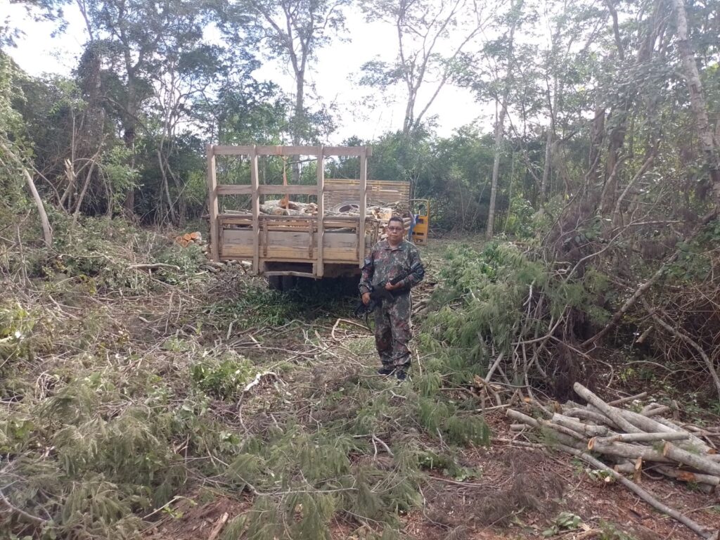 PMA de Corumbá autua três infratores em R$ 3,1 mil por extração de madeira ilegalmente e apreende 7 m³ de madeira, motosserra ilegal e caminhão