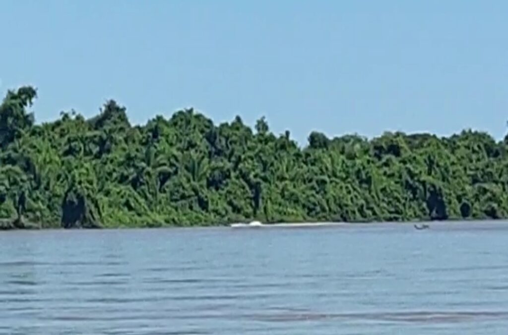 PMA de Coxim surpreende pescador praticando pesca predatória no rio Taquari e o infrator empreende fuga em barco lançando peixes no rio