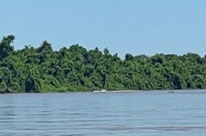 PMA de Coxim surpreende pescador praticando pesca predatória no rio Taquari e o infrator empreende fuga em barco lançando peixes no rio