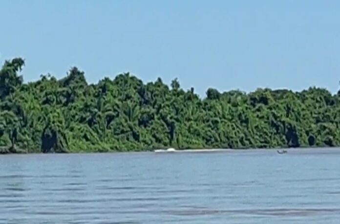 PMA de Coxim surpreende pescador praticando pesca predatória no rio Taquari e o infrator empreende fuga em barco lançando peixes no rio