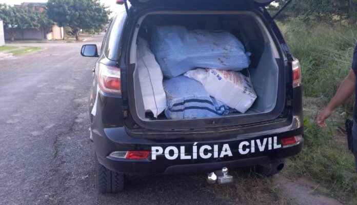 Polícia Civil apreende 171kg de entorpecentes em Corumbá