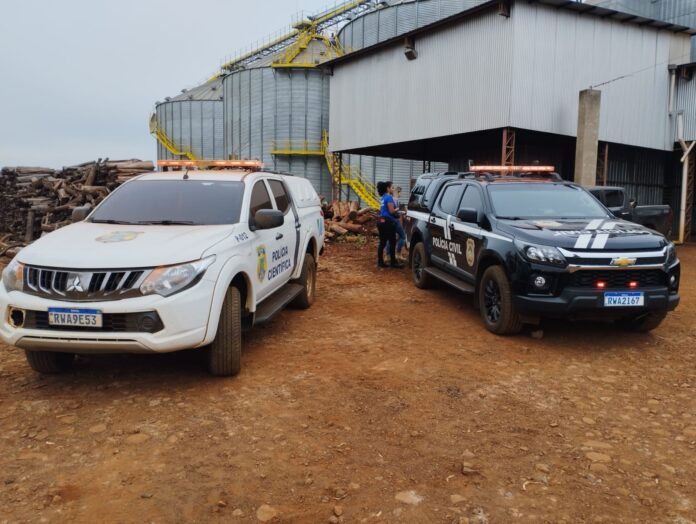 Polícia Civil incinera 20,595 kg de pasta base em Amambai