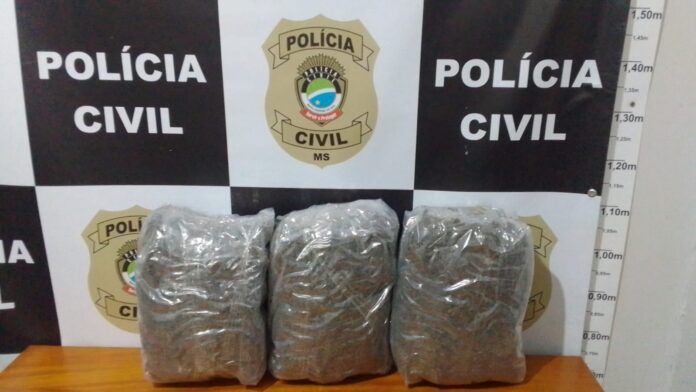 Polícia Civil prende jovem por tráfico de drogas e apreende skunk em Coronel Sapucaia