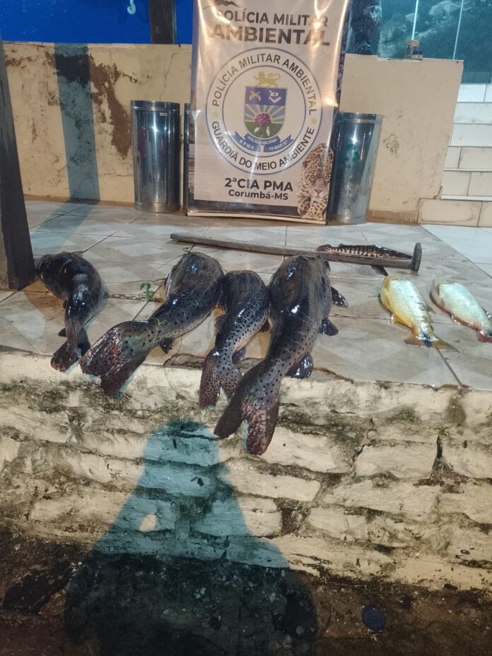 Polícia Militar Ambiental de Corumbá surpreende pescadores em pesca ilegal em ponto de decoada no rio Paraguai e apreende pescado ilegal