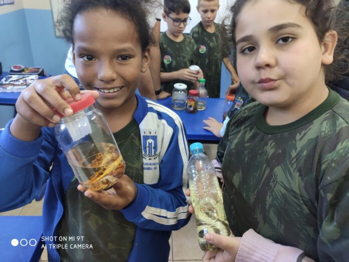 Projeto Florestinha de Amambai participa de formação sobre animais peçonhentos para multiplicação do conhecimento durante os trabalhos de Educação Ambiental que realizam