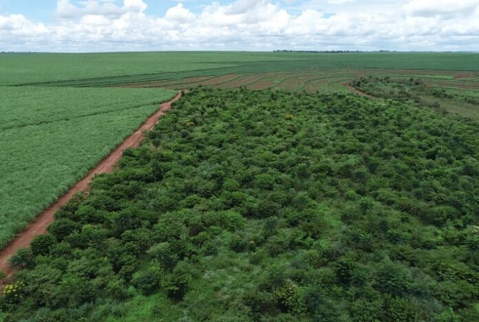 Regularização ambiental oferece benefícios para produtor rural que cumpre a lei