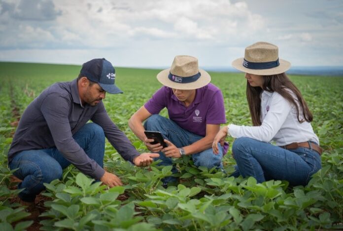 Tecnologia digitais são aliadas na gestão de custos dos insumos agrícolas