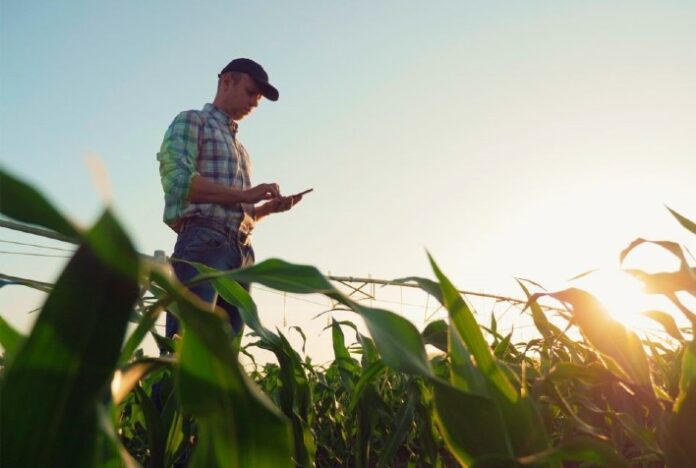 Com o dobro de precisão dos modelos tradicionais de previsões climáticas, ferramenta tecnológica auxilia agricultores a obterem mais produtividade no campo através de um planejamento mais assertivo