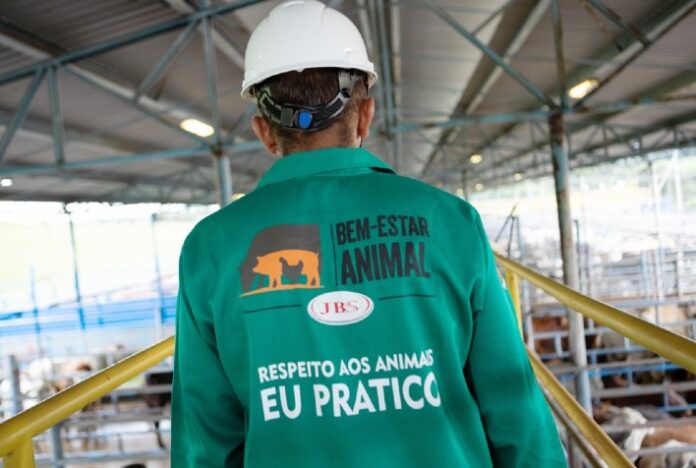 JBS adere ao projeto Cada Bezerro Importa, que visa o bem-estar de bovinos desde o nascimento