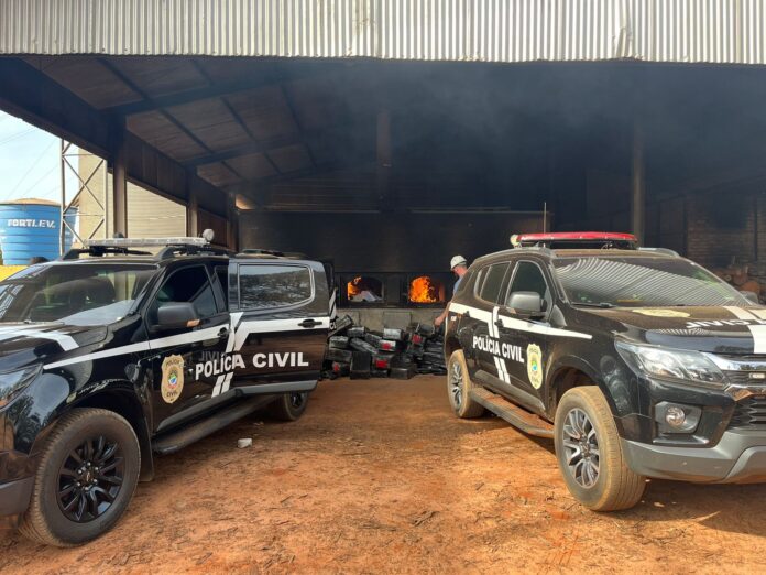 Polícia Civil incinera mais de 2 toneladas de maconha em Eldorado