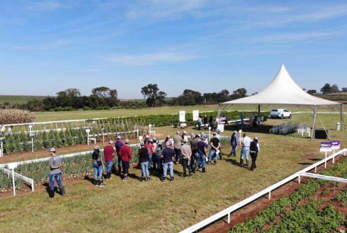 Corteva Agriscience apresenta tecnologias para maximizar a produtividade e a rentabilidade do setor de hortifrúti na Hortitec 2023